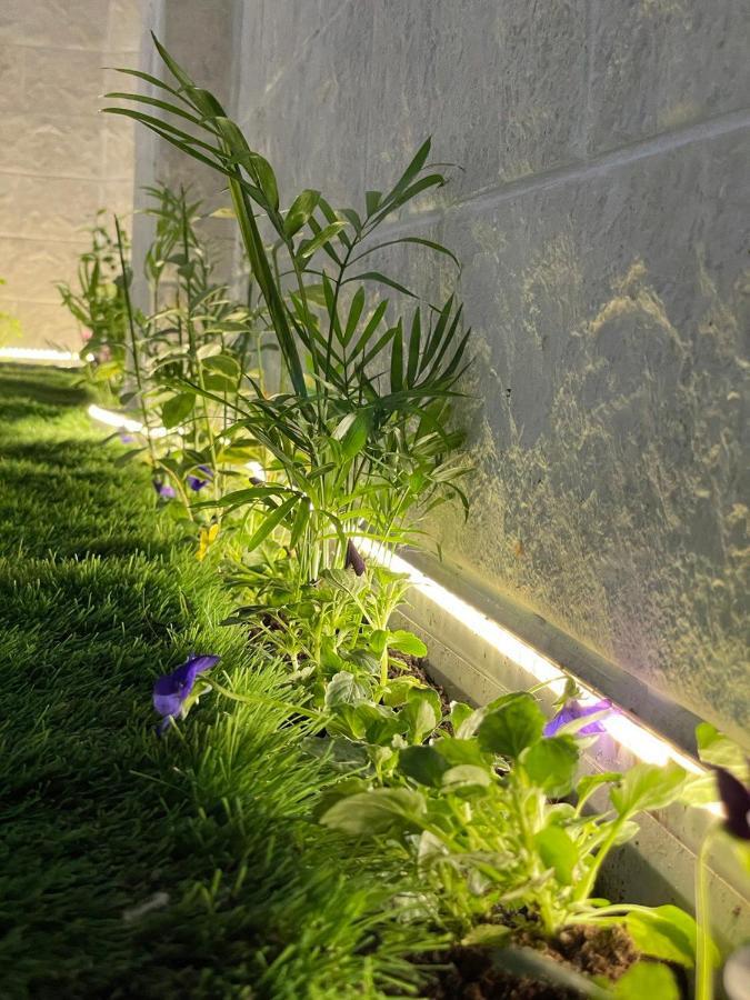 Careggi Top House 2 Firenze Eksteriør bilde