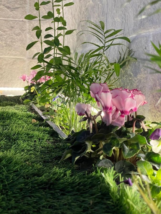 Careggi Top House 2 Firenze Eksteriør bilde